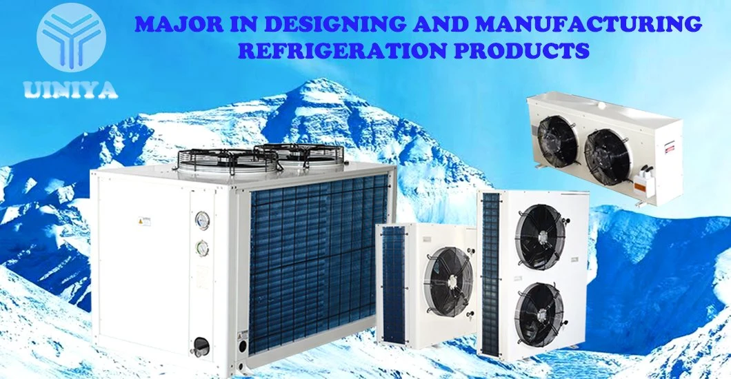 Beverage/Fruit and Vegetable Display Freezer Supermarket Commercial Refrigeration Equipment Vegetable Preservation